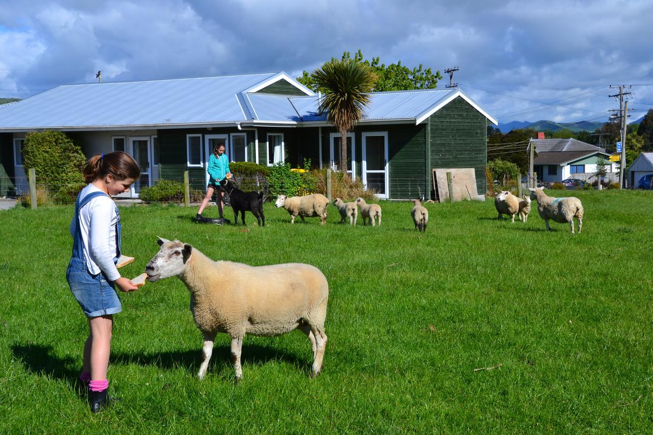 Catlins Gateway Motels Owaka Dış mekan fotoğraf